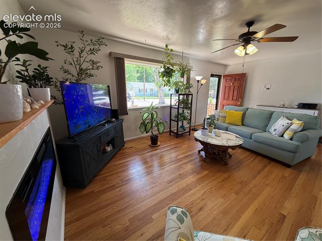 MLS Image for 1109  Mass  ,Pueblo, Colorado