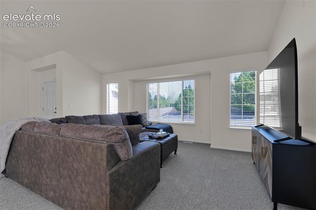 MLS Image for 705  Witchhazel  ,Colorado Springs, Colorado