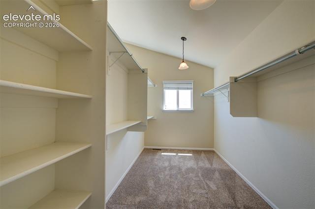 MLS Image for 705  Witchhazel  ,Colorado Springs, Colorado