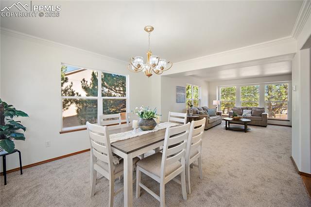 MLS Image for 5630  Mercer  ,Colorado Springs, Colorado