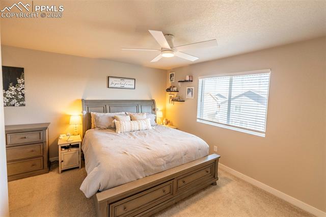 MLS Image for 10552  Horton  ,Colorado Springs, Colorado