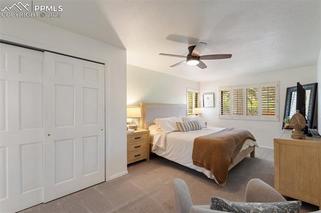 MLS Image for 110  Vine  ,Colorado Springs, Colorado