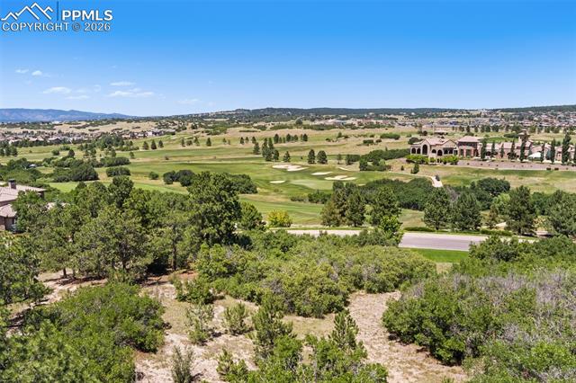 MLS Image for 1725  Vine Cliff  ,Colorado Springs, Colorado