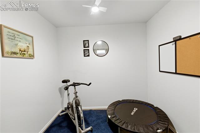 MLS Image for 175  Piney Point  ,Woodland Park, Colorado