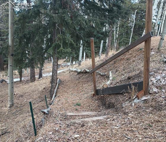 MLS Image for 175  Piney Point  ,Woodland Park, Colorado