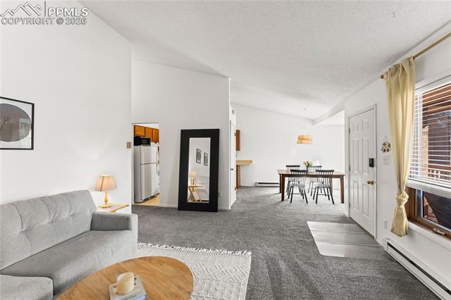 MLS Image for 401  Forest Edge  A8 ,Woodland Park, Colorado