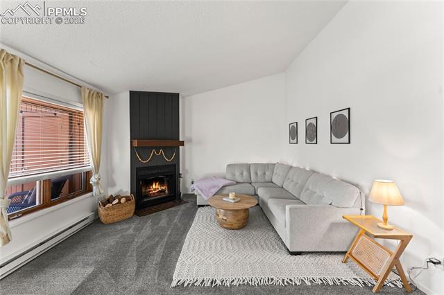 MLS Image for 401  Forest Edge  A8 ,Woodland Park, Colorado