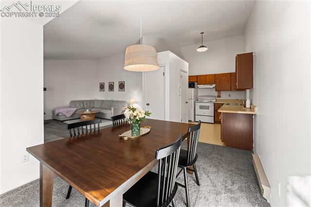 MLS Image for 401  Forest Edge  A8 ,Woodland Park, Colorado