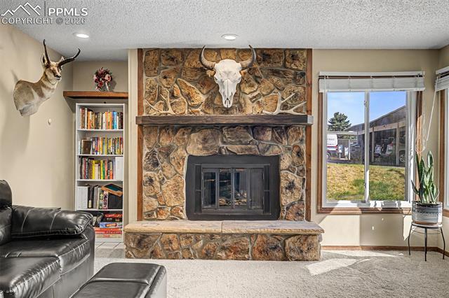 MLS Image for 1140  Magic Lamp  3 ,Monument, Colorado