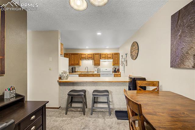 MLS Image for 1140  Magic Lamp  3 ,Monument, Colorado