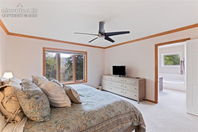 MLS Image for 36  Sandra  ,Manitou Springs, Colorado