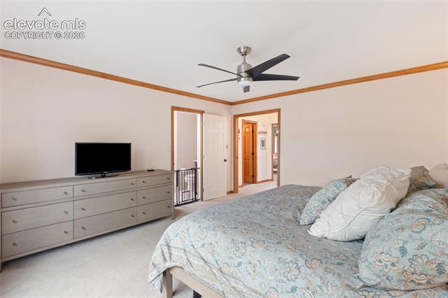 MLS Image for 36  Sandra  ,Manitou Springs, Colorado