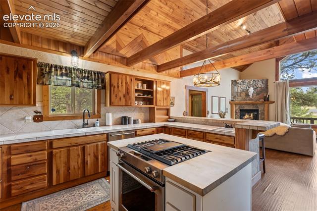 MLS Image for 1280  Chippewa  ,Woodland Park, Colorado