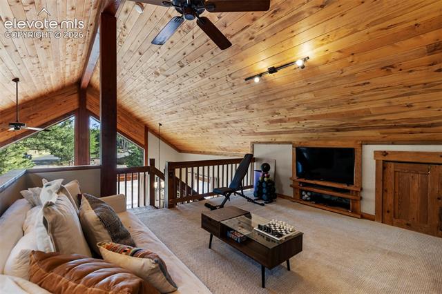 MLS Image for 1280  Chippewa  ,Woodland Park, Colorado