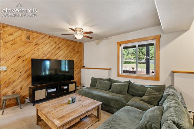 MLS Image for 1280  Chippewa  ,Woodland Park, Colorado