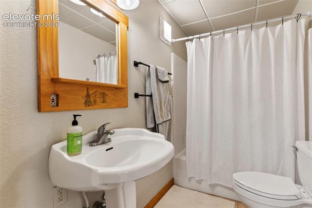 MLS Image for 1280  Chippewa  ,Woodland Park, Colorado