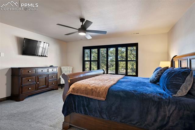 MLS Image for 17576  Cabin Hill  ,Colorado Springs, Colorado