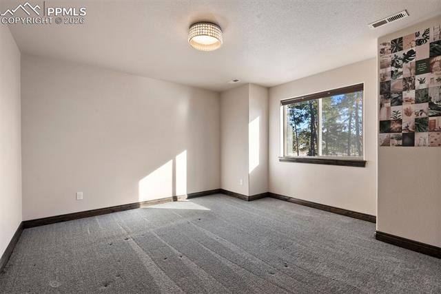 MLS Image for 17576  Cabin Hill  ,Colorado Springs, Colorado