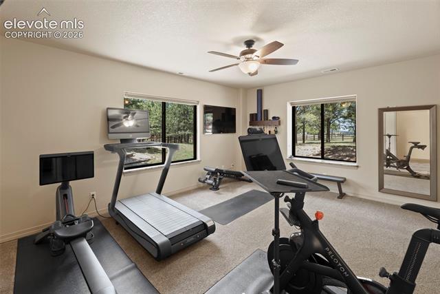 MLS Image for 18330  Bakers Farm  ,Colorado Springs, Colorado
