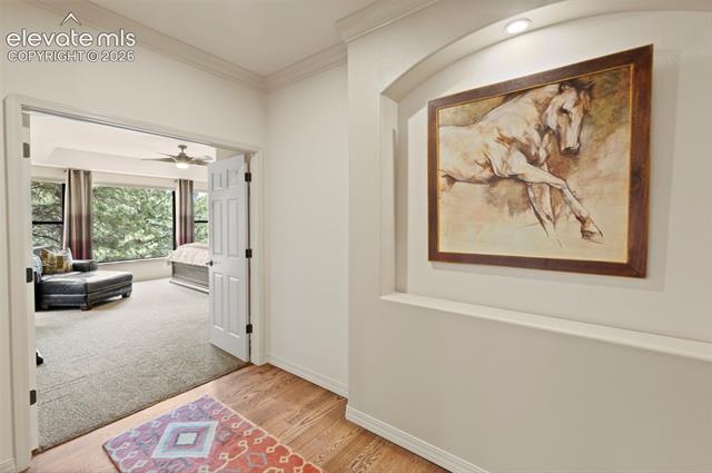 MLS Image for 18330  Bakers Farm  ,Colorado Springs, Colorado