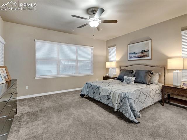 MLS Image for 7090  Silver Buckle  ,Colorado Springs, Colorado