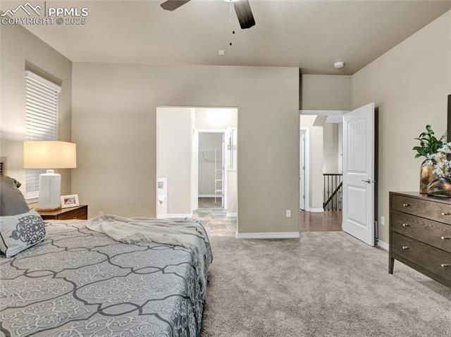 MLS Image for 7090  Silver Buckle  ,Colorado Springs, Colorado