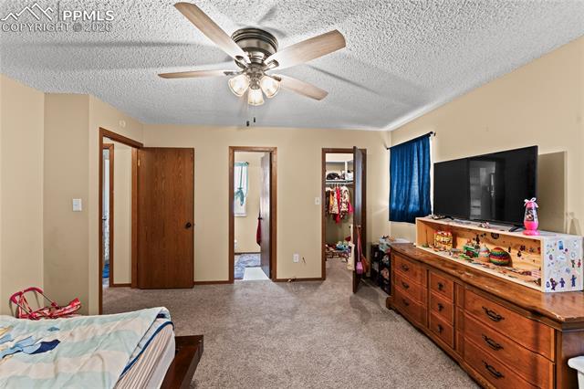 MLS Image for 1780  Summernight  ,Colorado Springs, Colorado