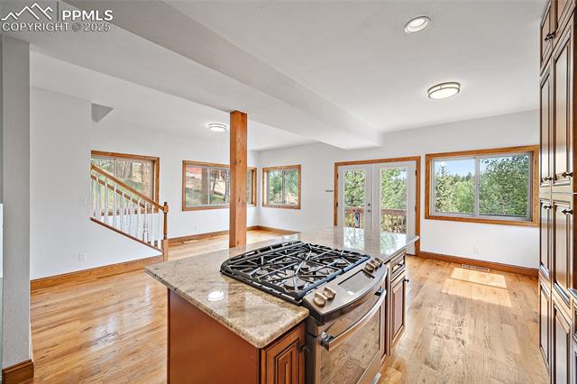MLS Image for 126  Saguache  ,Florissant, Colorado