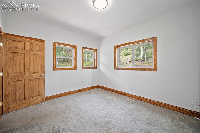 MLS Image for 126  Saguache  ,Florissant, Colorado