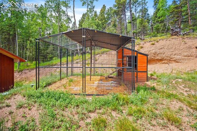 MLS Image for 126  Saguache  ,Florissant, Colorado