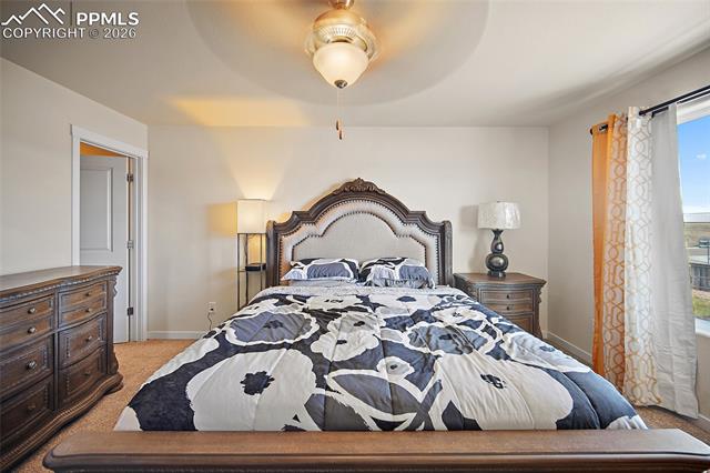 MLS Image for 5915  Mumford  ,Colorado Springs, Colorado