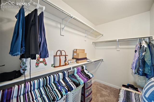 MLS Image for 5915  Mumford  ,Colorado Springs, Colorado