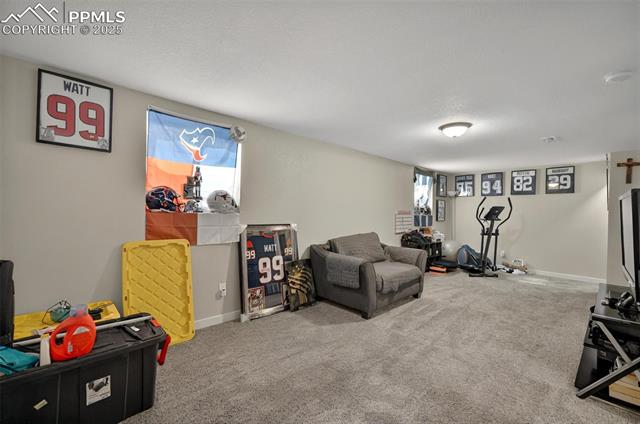 MLS Image for 1033  Mt. Werner  ,Colorado Springs, Colorado