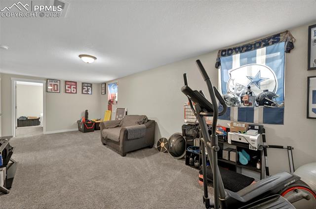 MLS Image for 1033  Mt. Werner  ,Colorado Springs, Colorado