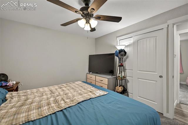 MLS Image for 1033  Mt. Werner  ,Colorado Springs, Colorado