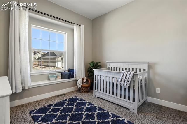 MLS Image for 1877  Walnut Creek  ,Colorado Springs, Colorado