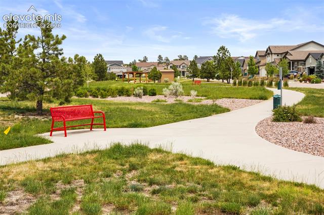 MLS Image for 3227  Golden Meadow  ,Colorado Springs, Colorado