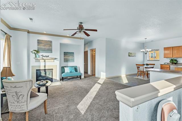 MLS Image for 4839  Kerry Lynn  201 ,Colorado Springs, Colorado