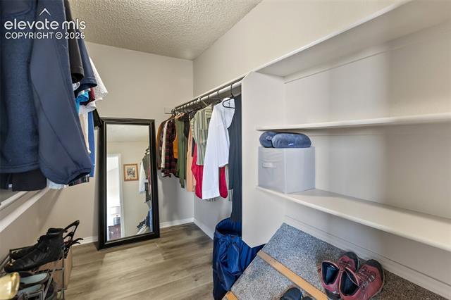 MLS Image for 6765  Bear Tooth  ,Colorado Springs, Colorado