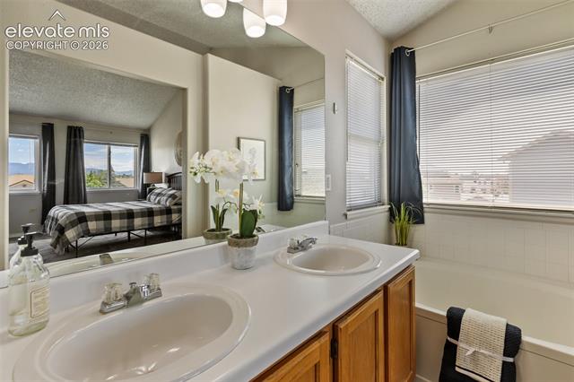 MLS Image for 6765  Bear Tooth  ,Colorado Springs, Colorado