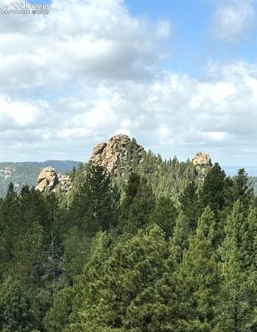 MLS Image for 714  Woodrock  ,Divide, Colorado
