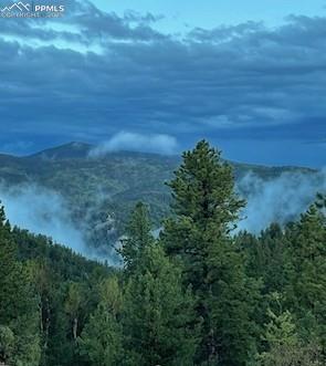 MLS Image for 714  Woodrock  ,Divide, Colorado