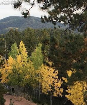 MLS Image for 714  Woodrock  ,Divide, Colorado