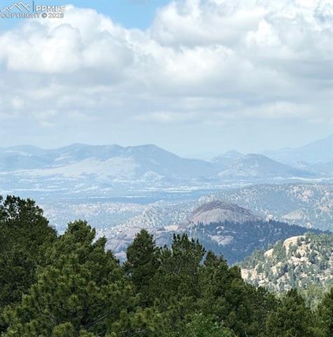 MLS Image for 714  Woodrock  ,Divide, Colorado