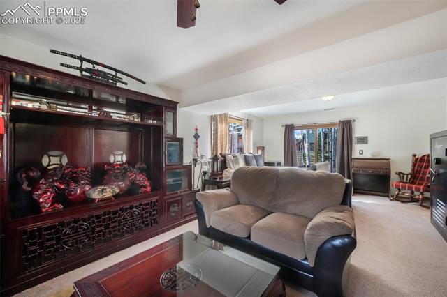 MLS Image for 250  Bridle  ,Woodland Park, Colorado