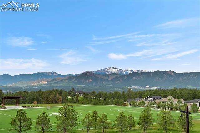 MLS Image for 715  Sage Forest  ,Monument, Colorado