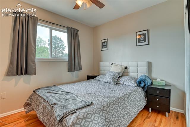 MLS Image for 934  Potter  ,Colorado Springs, Colorado