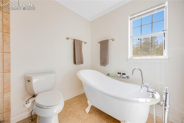MLS Image for 17520  Fremont Fort  ,Peyton, Colorado
