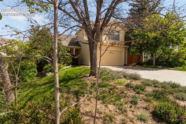 MLS Image for 2144  Sable Chase  ,Colorado Springs, Colorado
