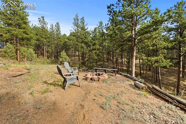 MLS Image for 1110  Pikes Peak  ,Florissant, Colorado